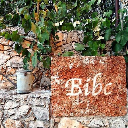 Bibc Wine & Holiday Trieszt Kültér fotó